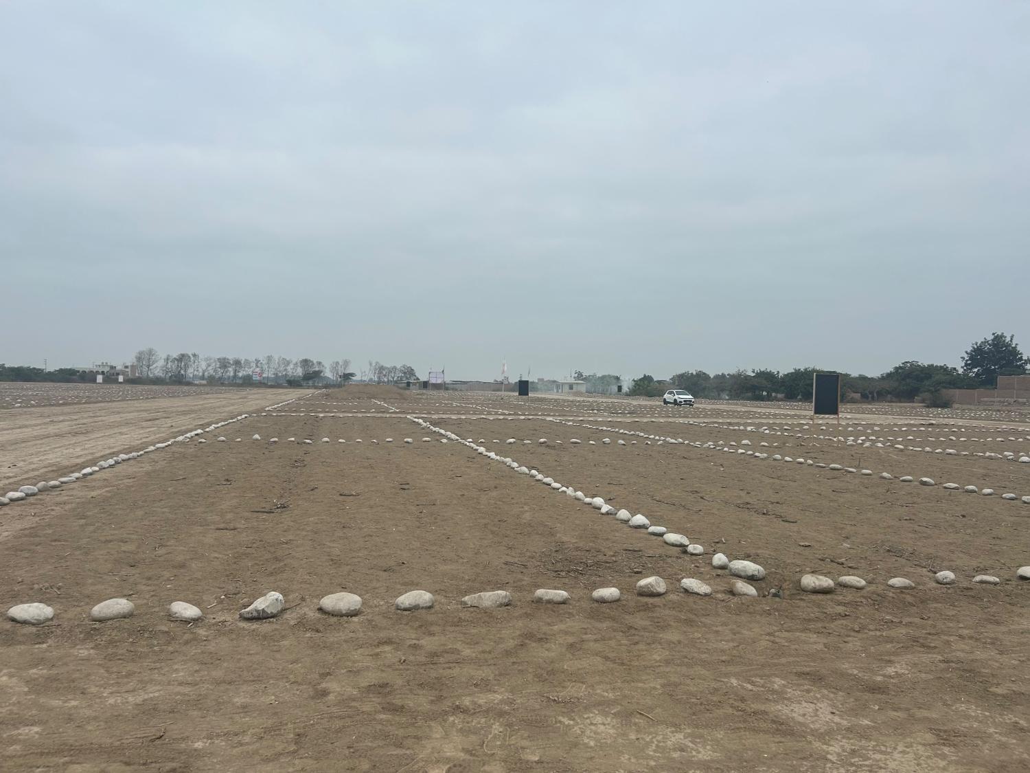 Vista de los lotes con demarcación
